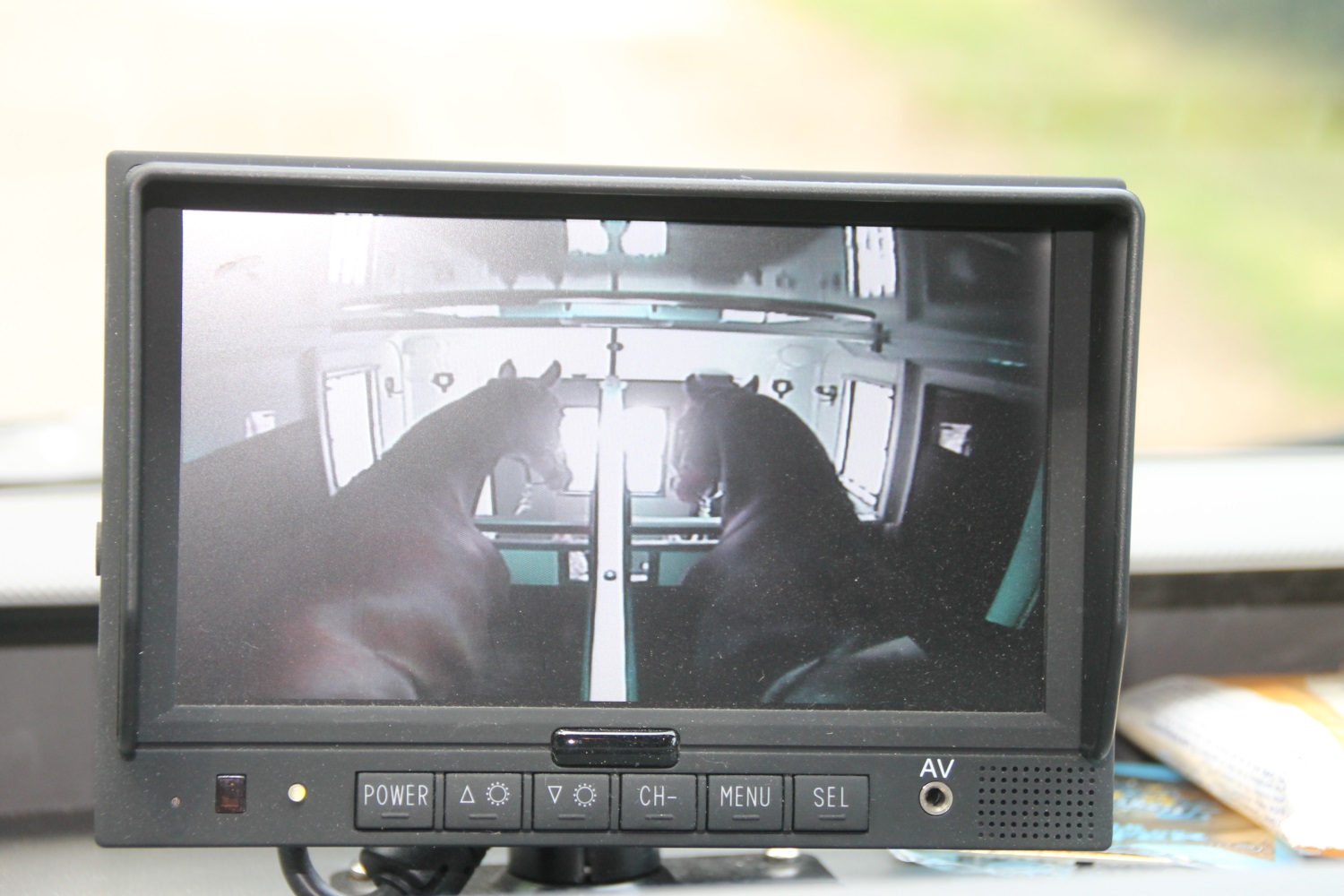 Luxepaardentaxi_camera_paardentransport_paardenvervoer